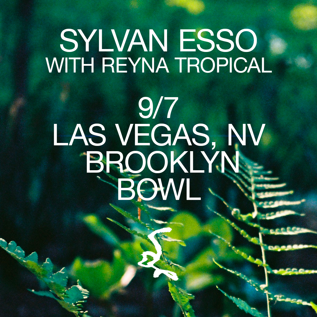 Sylvan Esso - No Rules (Tour) 