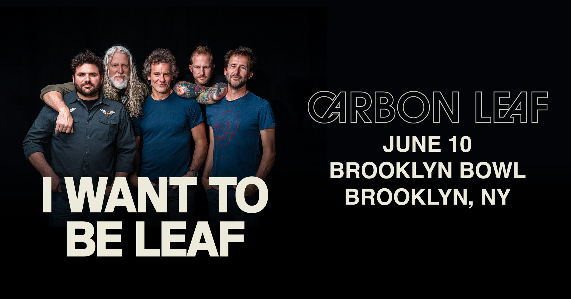 More Info for Carbon Leaf