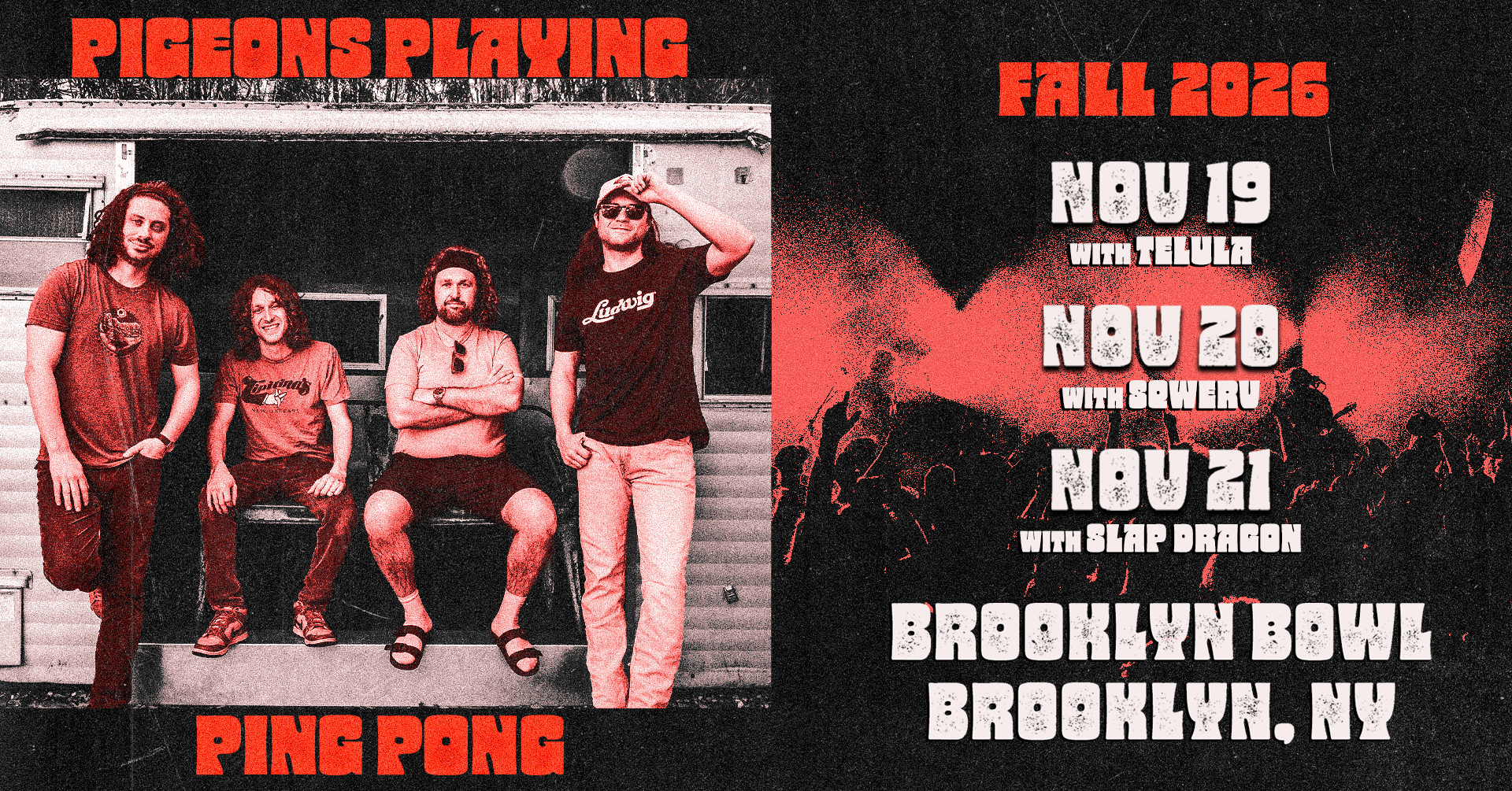 More Info for Pigeons Playing Ping Pong