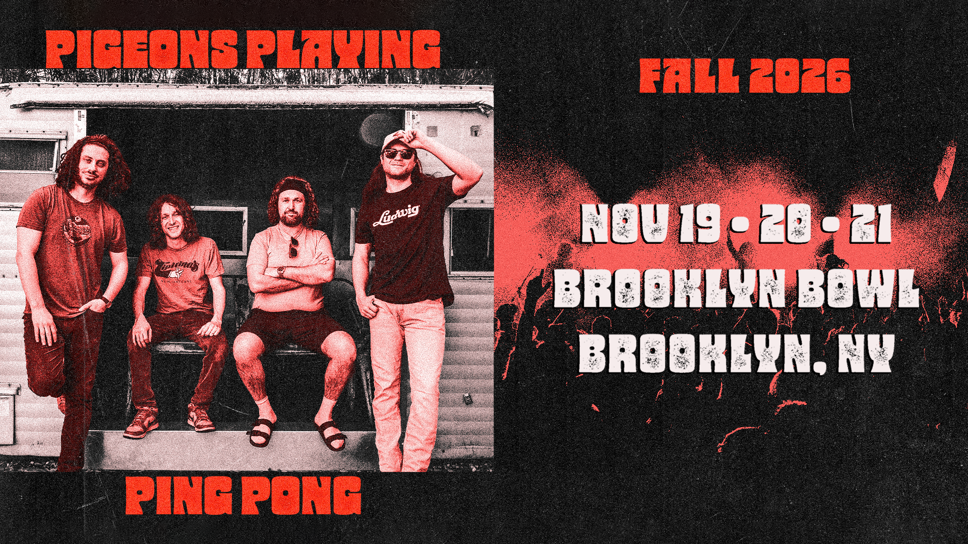 More Info for Pigeons Playing Ping Pong