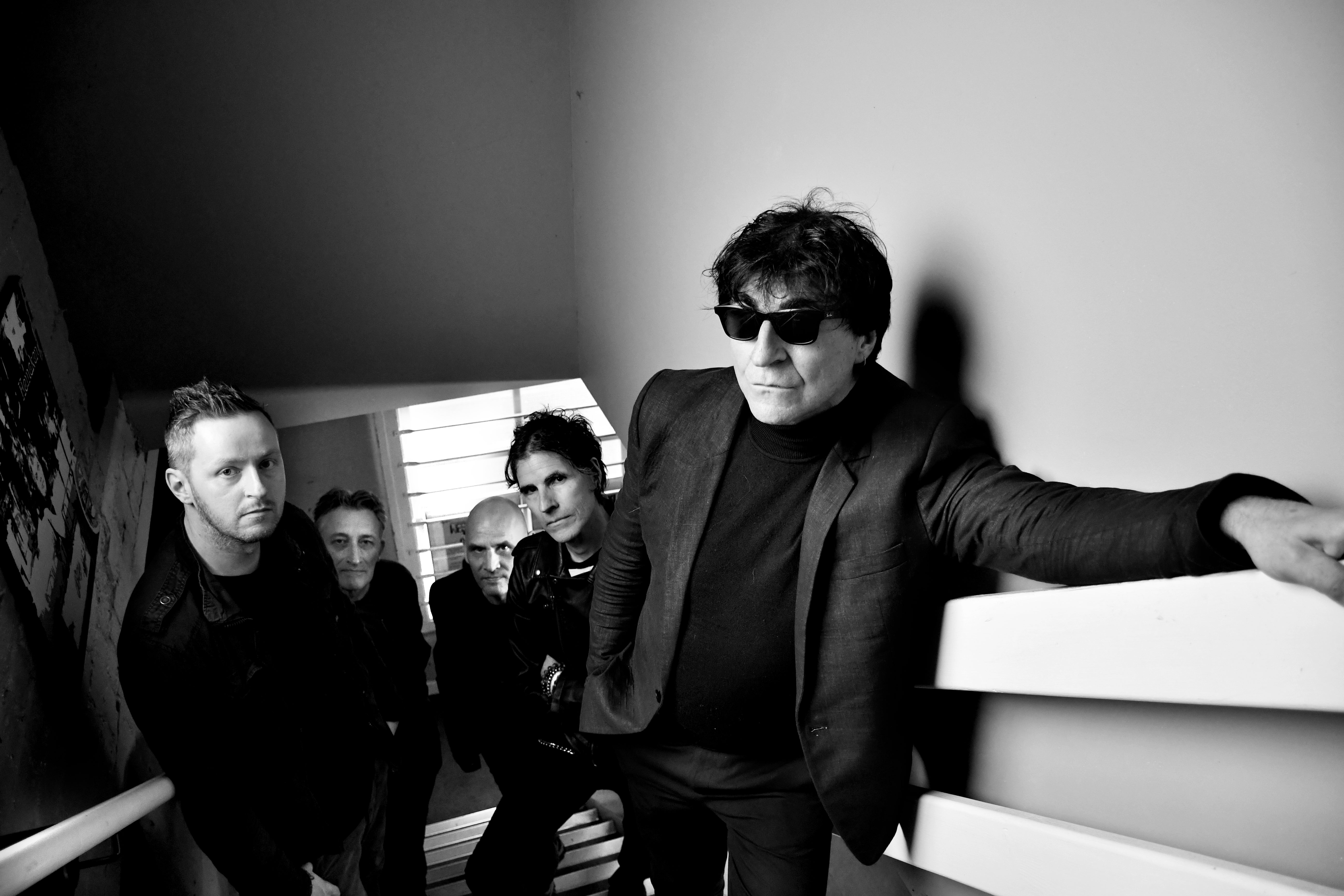 Chameleons Press 1.jpg