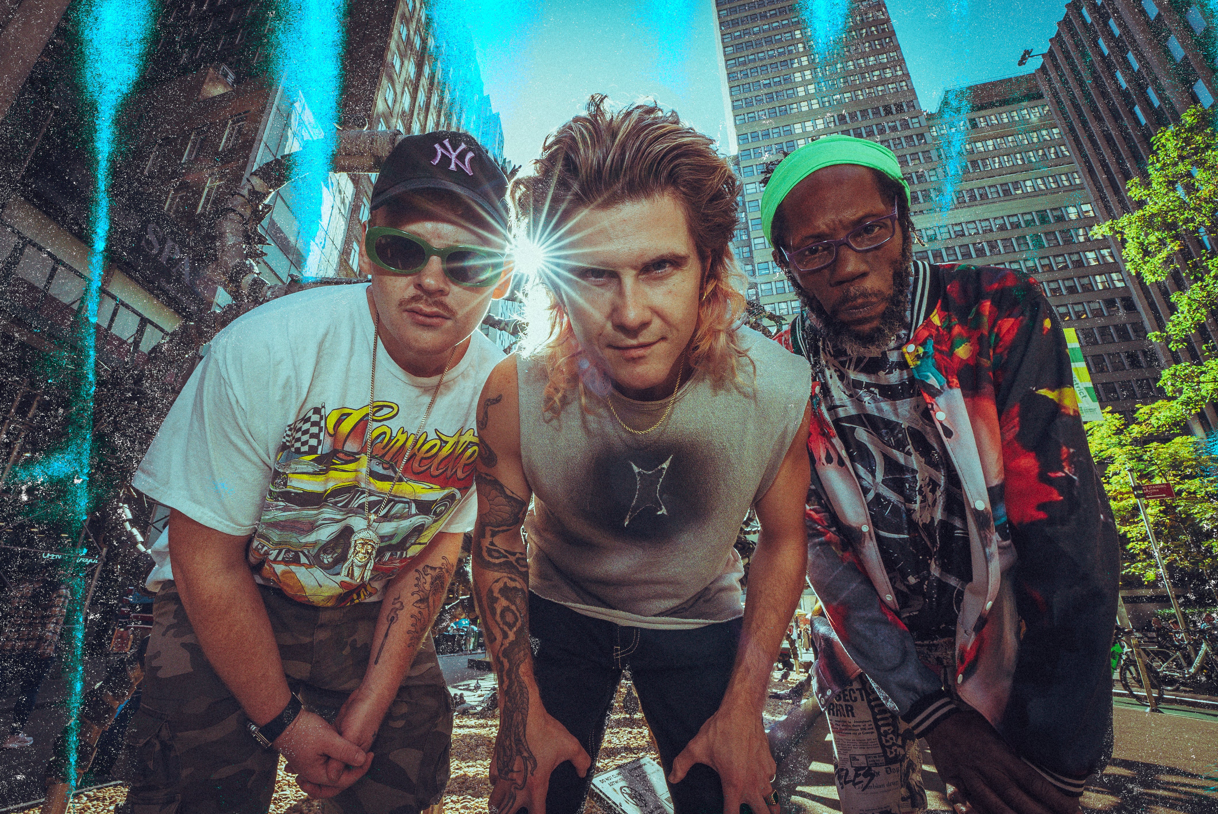 Too Many Zooz.jpg